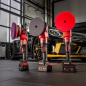 Preview: FLEX PE 150 18-EC Set Akku Rotationspoliermaschine