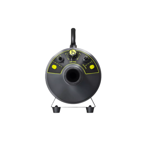 Bigboi BlowR Mini+ Car Dryer Lacktrockner